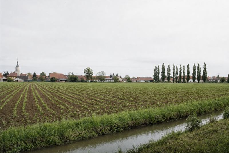 Ortsrand eines pfälzischen Dorfes über flachen Feldern, Kirchturm am Horizont